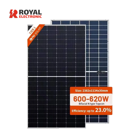 TW Solar 620W Bifacial
